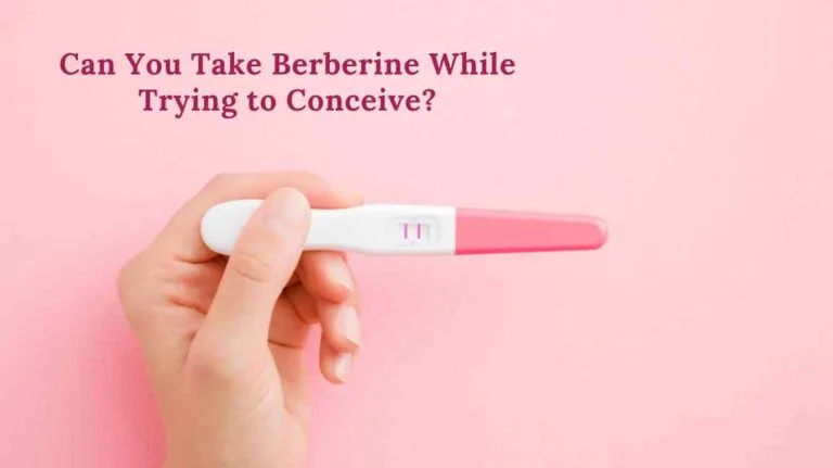 Can I Take Berberine While Trying to Conceive?